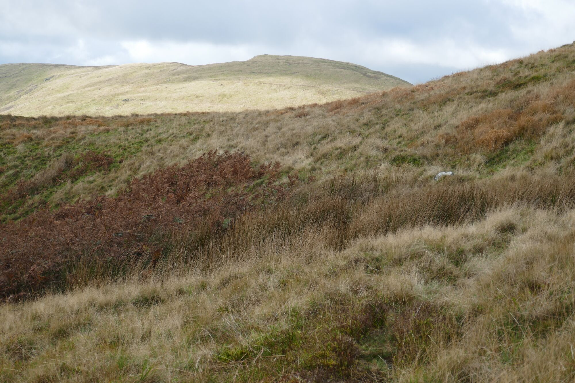 RachelSeabrook.net | Wild Walking | Cwm Hengwm | pic23